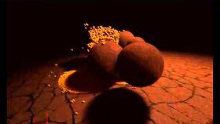 PhysX FluidMark 120 WinXP 32 divx