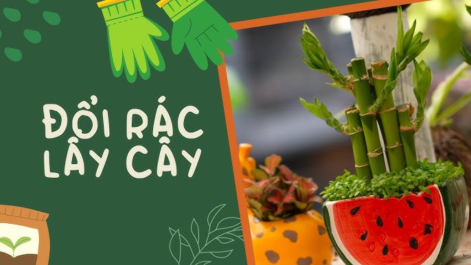ĐỔI RÁC LẤY CÂY | VTV4