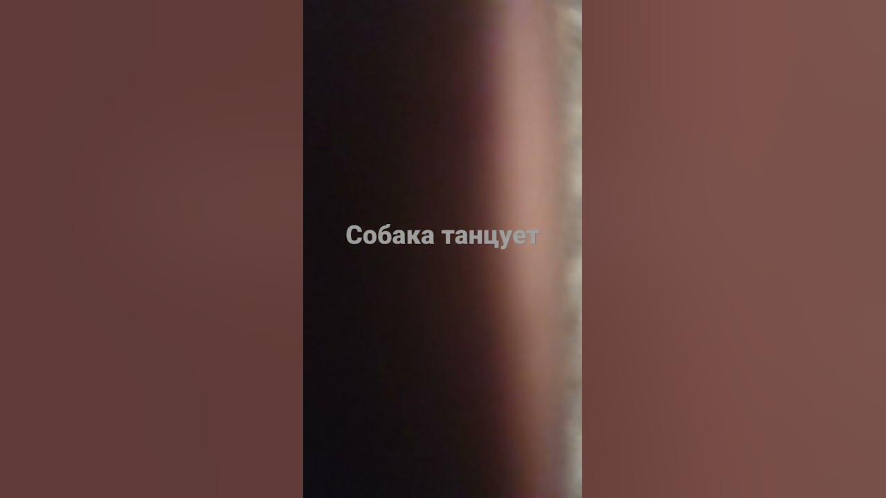 муня - YouTube