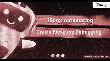 iBorg: Automating Oracle Flexcube Debugging
