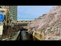 河口恭吾–桜 1時間耐久