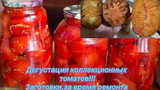 картинка: Дегустация коллекционных томатов,на 28 сентября 2025 год!!!Заготовки во время ремонта кухни!!!