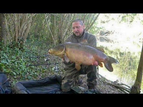 La pêche comme fabriquer le serin