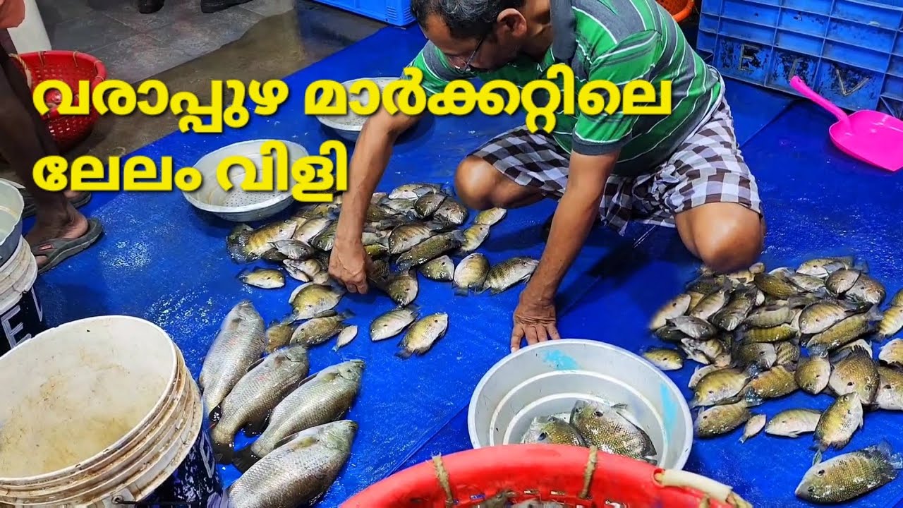 ജീവനുള്ള പിടക്കണ മീനിന്റെ ലേലം വിളി കണ്ടിട്ടുണ്ടോ ഇല്ലെങ്കിൽ ദാ കണ്ടോള്ളൂ varapuzha market ലേലം വിളി