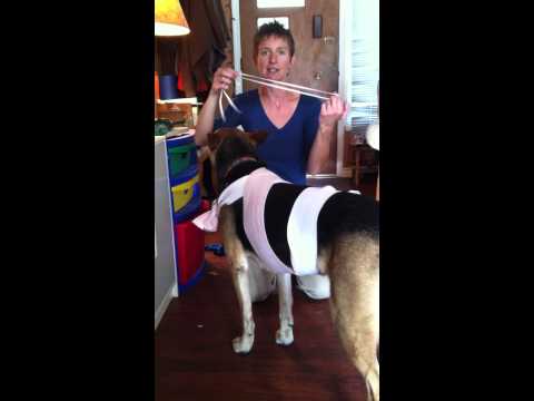 the-wrap-and-calming-band