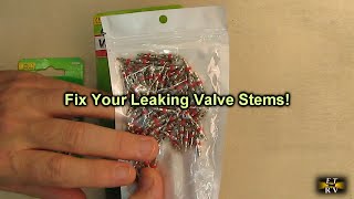 REVIEW 100 Schrader Tire Valve Cores - American Valve Stems Core for Automotive/Air Conditioning