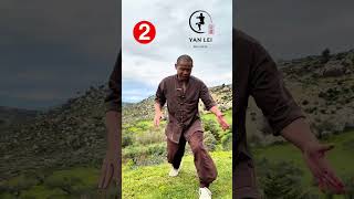 Shaolin Squats