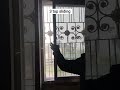 3 Top Sliding Sliding Slidingdoordesign Slidingwindows Youtube Shorts Shortvideo 