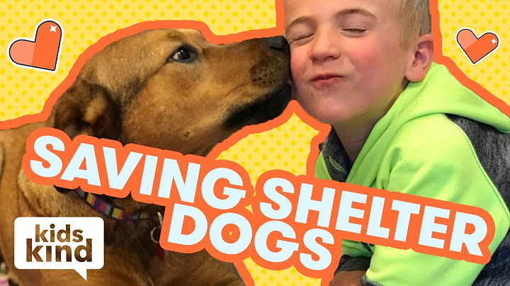 The kid who saved thousands of dogs | Kidskind