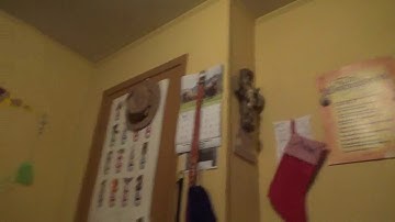 My First Test Camcorder Video - 10/1/19