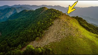 видео: Они оставили тысячи овец умирать на пустынном острове. Но случилось удивительное! картинка: Они оставили тысячи овец умирать на пустынном острове. Но случилось удивительное!