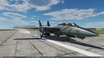 DCS F14 Tomcat how to land on a runway.
