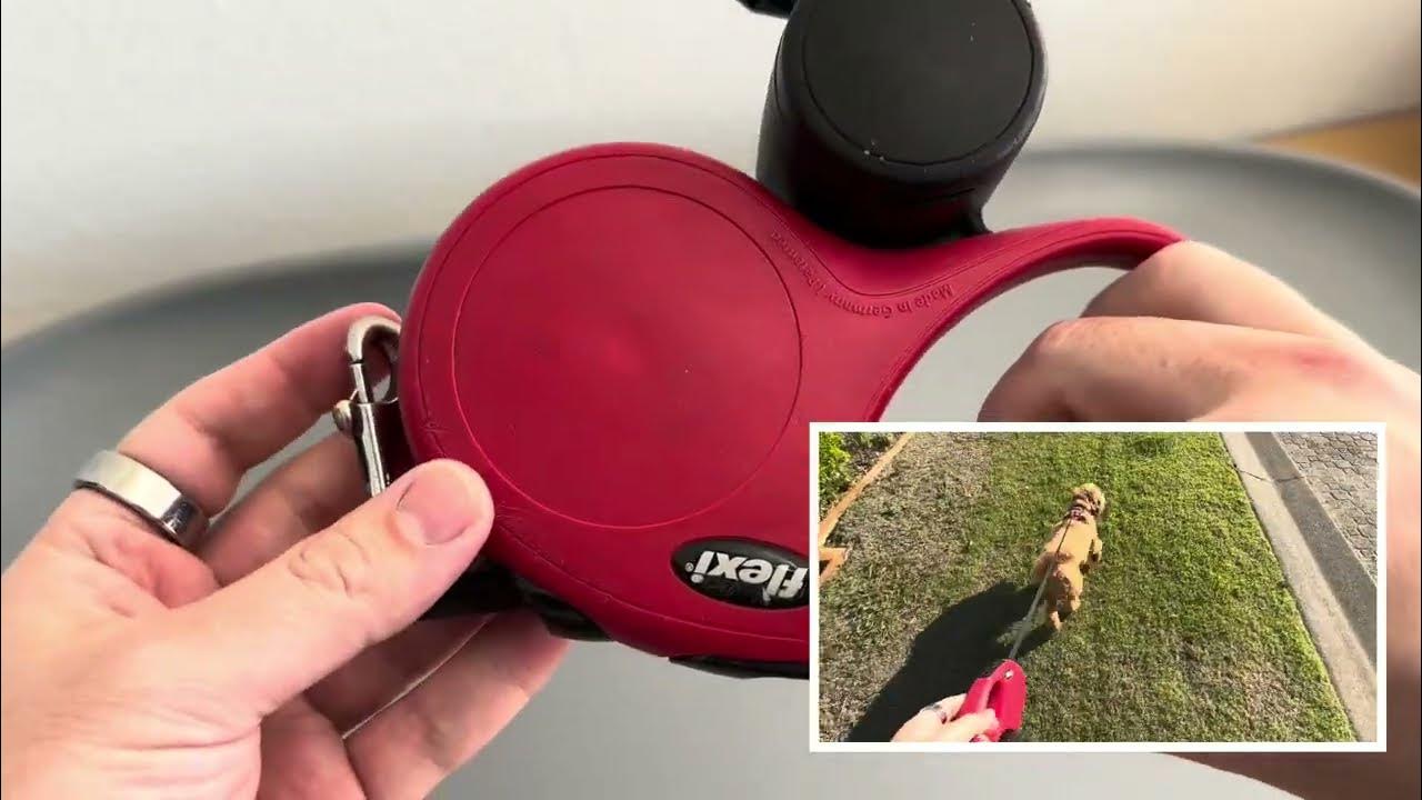 Flexi retractable dog leash review three years of HEAVY labradoodle