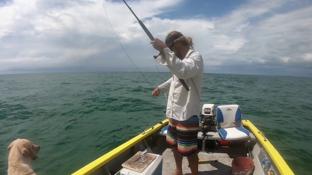 Big bait, big fish.. 