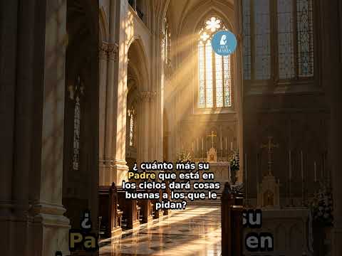 Miniatura del vídeo: Evangelio del día: trata a los demás con amor