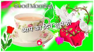 Good morning Status shayari 🌹 Good morning shayari status video 🌹 Good morning shayari in hindi screenshot 5