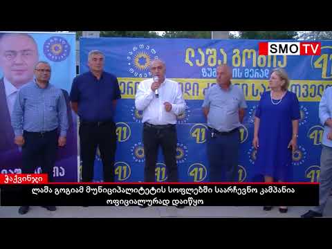 ლაშა გოგიამ მუნიციპალიტეტის სოფლებში საარჩევნო კამპანია ოფიციალურად დაიწყო