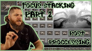 Focus Stacking in Macro Photography | Part 2 - Post Processing & Editing