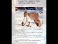 Neural ODEs: Making Deep Learning Continuous