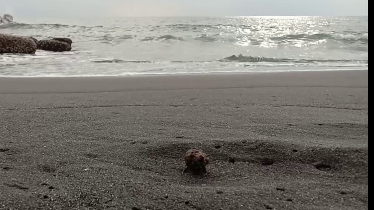 Senja Beach (cinematic video) 