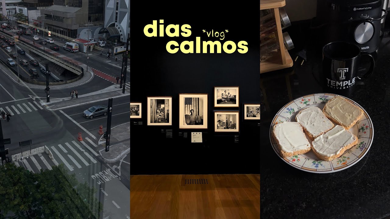 vlog: museu, dias comuns e solitude