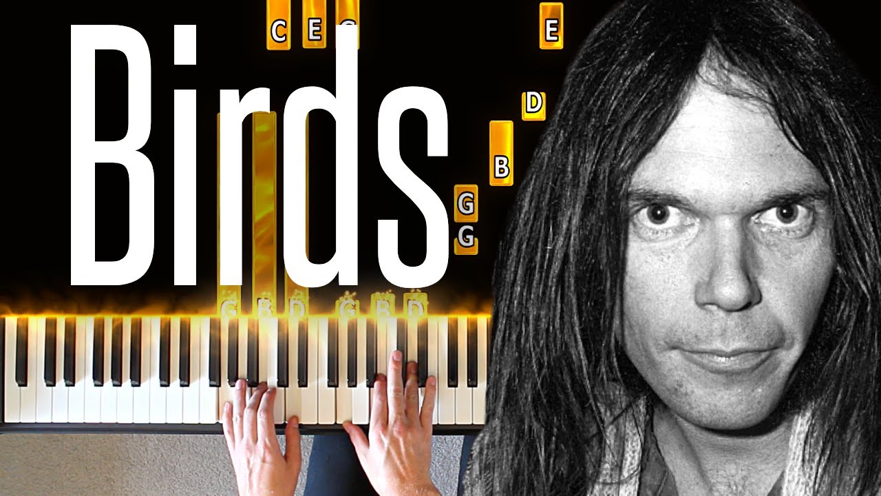 Birds Neil Young - Piano Tutorial