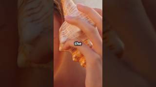 The Science of Why You Can Hear the Ocean in a Seashell