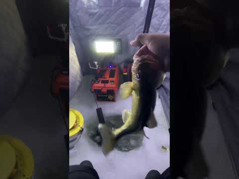 Experience the Thrill of Ice Fishing: Play Online in English