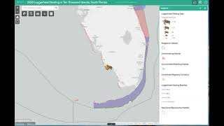 Details Loggerhead Sea Turtle WebApp Demonstration News