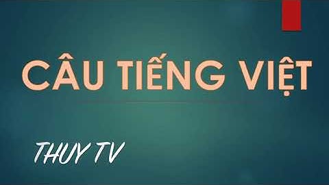 Có tất cả bao nhiêu từ trong tiếng việt