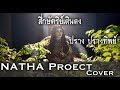 สี่กษัตริย์เดินดง [ทศพล หิมพานต์] - ปราง ปรางทิพย์【Cover】