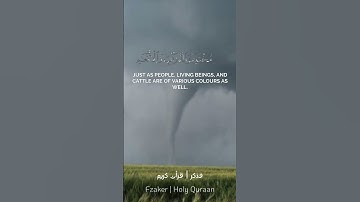قران كريم الشيخ ياسر الدوسري ♥️ #قرآن #تلاوات #فذكر #اكسبلور #تلاوة #راحة_نفسية