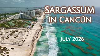 Cancun Sargassum Update July 2026: Hotel Zone Beaches Right Now | Drone 4K