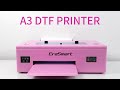 ⚡ 72-HOUR PRINT PASS ⚡