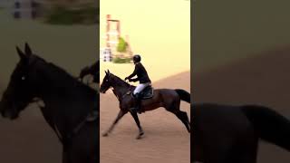 Nicola Philippaerts &amp; Katanga vh Dingeshof win LGCT GP Shanghai!