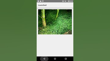 Activity Transition with Reveal