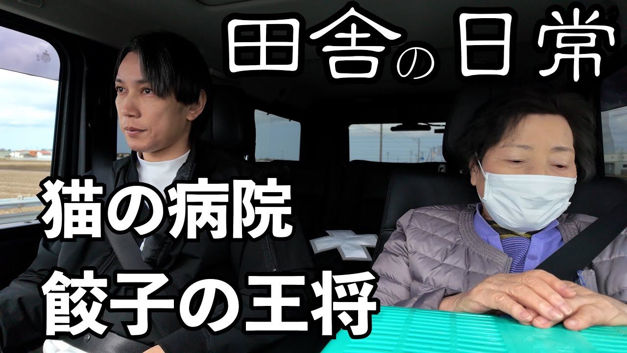 餃子の王将で津軽弁おばあちゃんと飯食ってきました【猫の病院他】