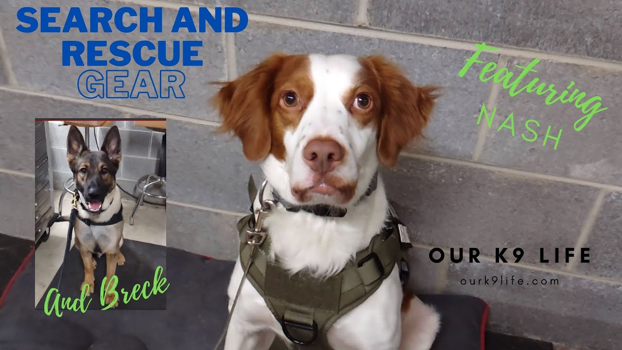 Our K9 Life Search and Rescue Gear Bag and Equipment featuring K9 Breck