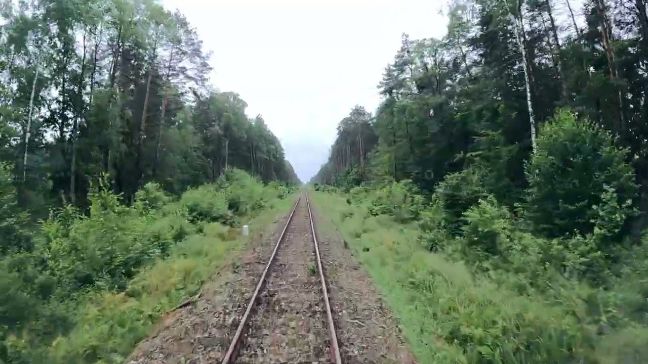 [CABVIEW] Linia kolejowa Chełm - Włodawa odc. Włodawa - Uhrusk cz. II