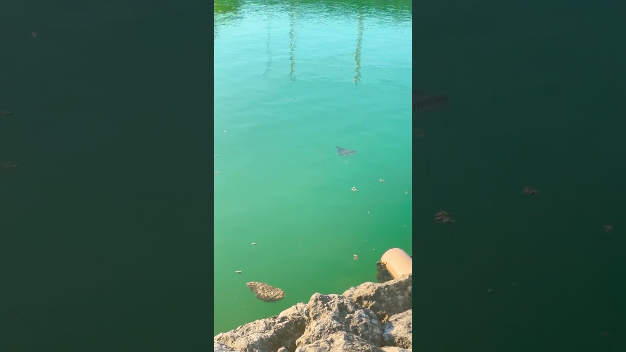 Доброе утречко! 🇲🇽☀️ 