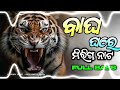 BAGHA GHARA MIRIGA NATA |TRANCE MIX |ODIA LASTEST DJ|ODIA DJ SONGS|ODIA NEW DJ | DJ AMIT X DJ VICKY