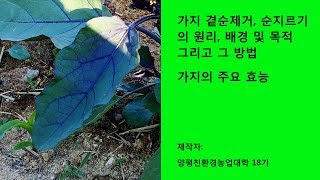 서울시 친환경농장 조안면 삼봉리 농장에 가다 - 주말농장 약도 및 가는 길