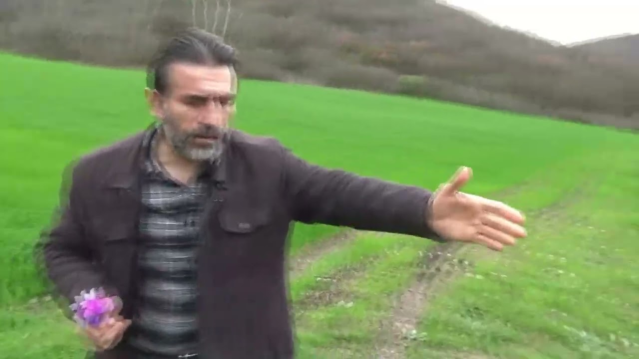 SATILIK ÇAY KENARI RESMİ YOLA CEPE 8300 M2 TARLA FİYAT 1,500,000