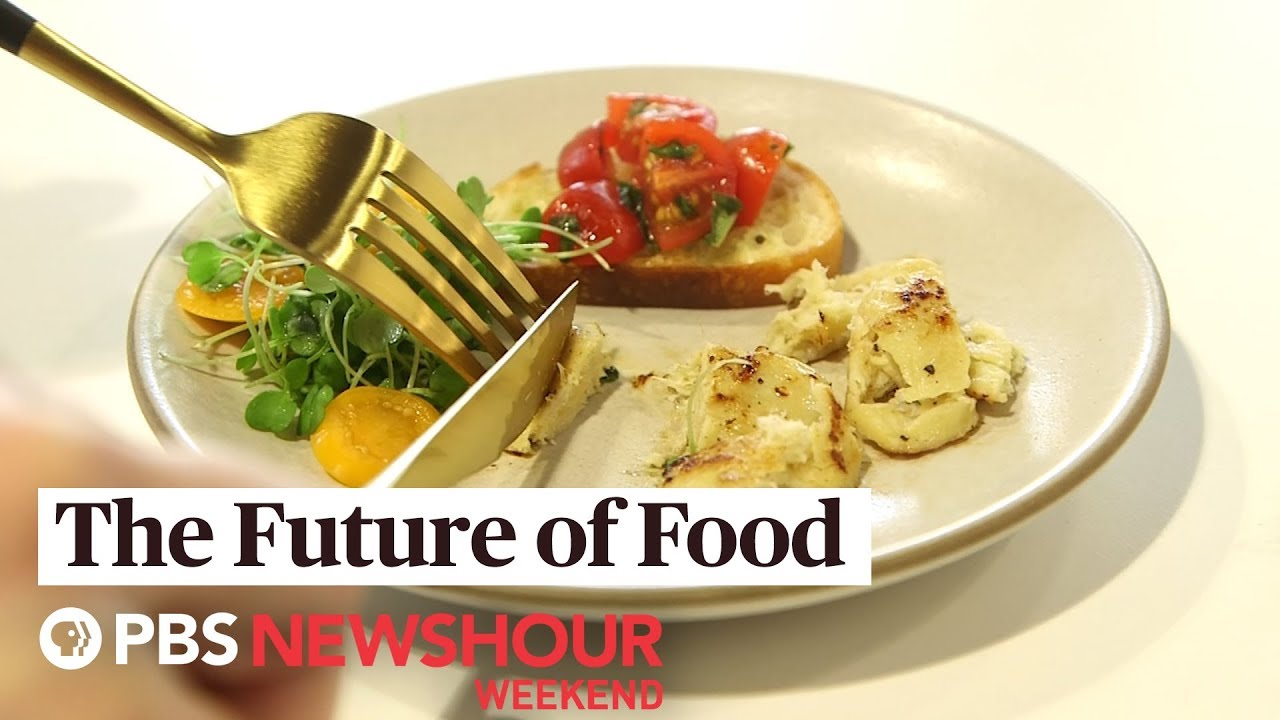 California startups are growing meat from animal cells YouTube