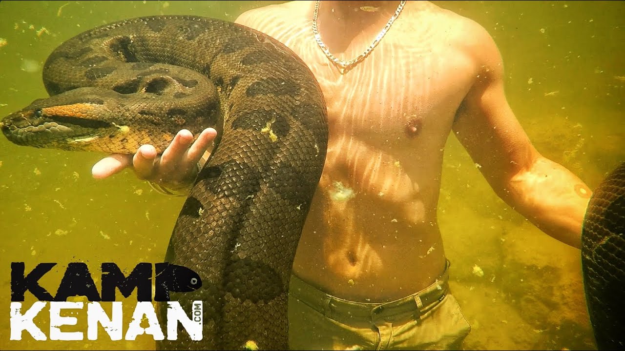 Это че за анаконда песня. Green Anaconda Song. Samlee888 Protein Snake for giant Anaconda Uncensored.