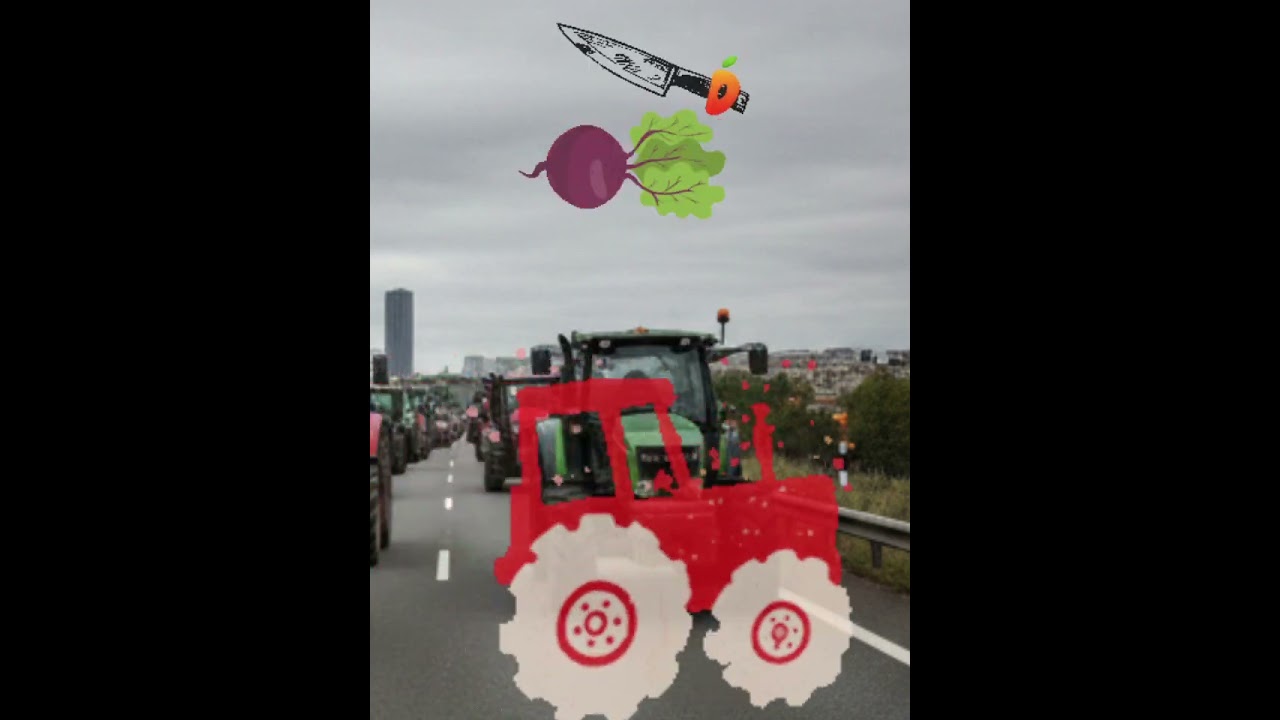 Sytuacja w Europie po wprowadzeniu umowy UE–Mercosur