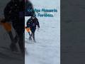 Football ice age! #shorts #football #snow
