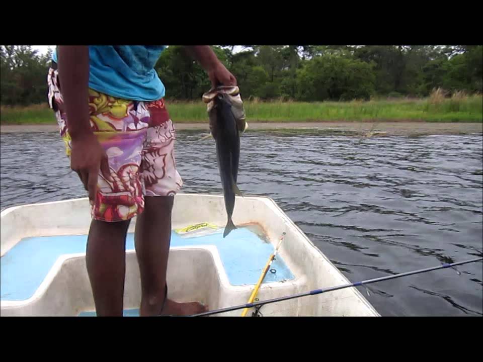 zimbabwe bass on a spinner YouTube