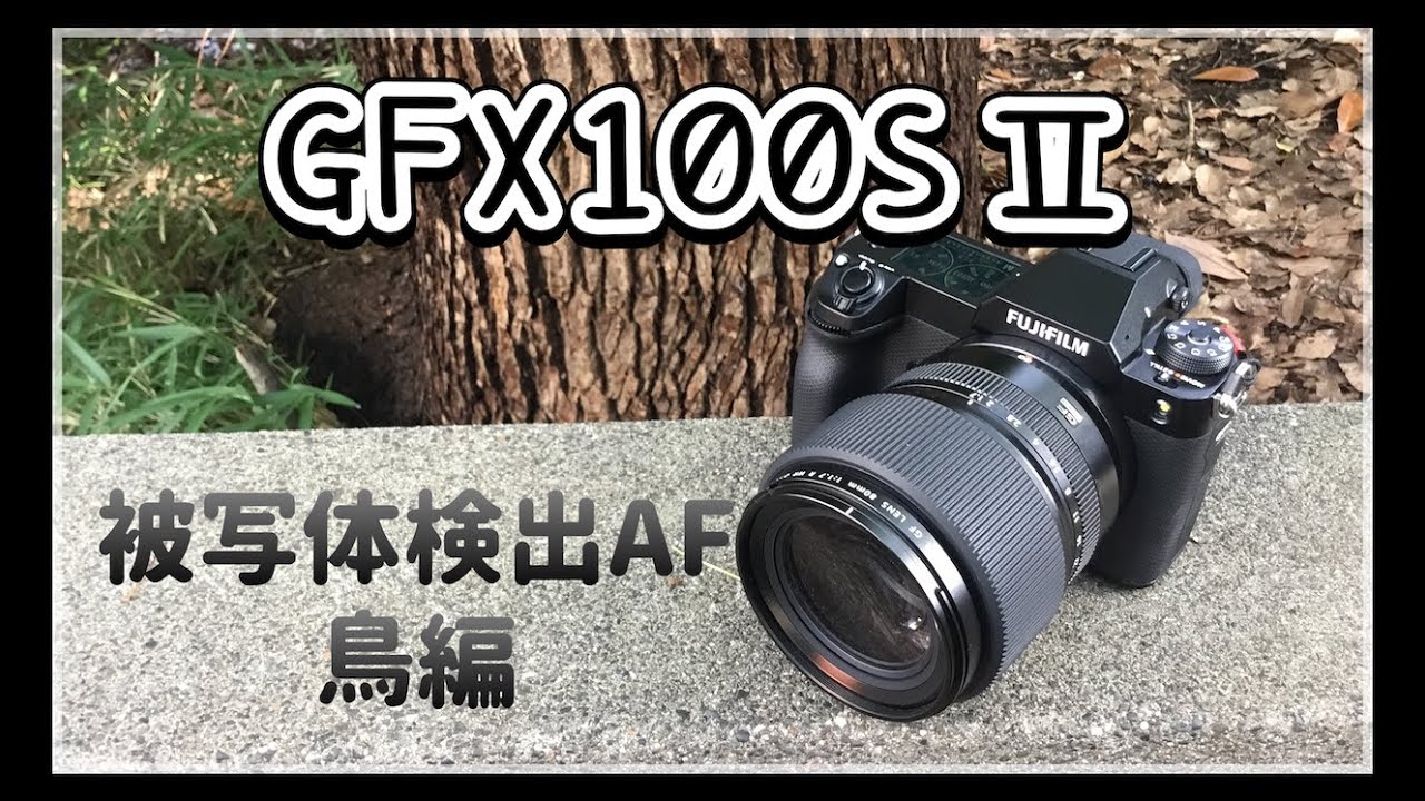 GFX100SⅡ【被写体検出AF・鳥編】ぼちぼちですよ - YouTube