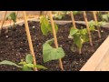 Supporting Local Communities: Suffolk and Lenadoon